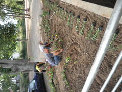 P5280029.JPG P5280029.JPG