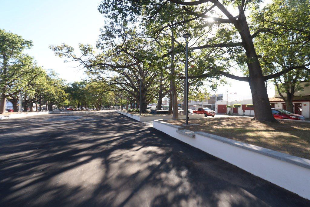 Inauguración terrenos del Bosque