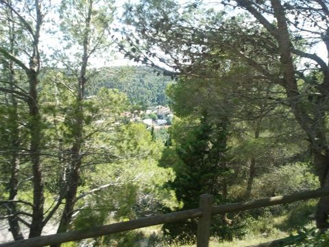 2011-06-15 16.58.04.jpg 2011-06-15 16.58.04.jpg