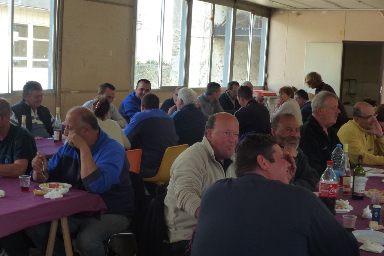 P1040378 (Copier) P1040378 (Copier)