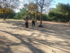 21-10-2018 Champ du groupe JP 7 21-10-2018 Champ du groupe JP 7