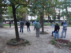 Entre les arbres Entre les arbres