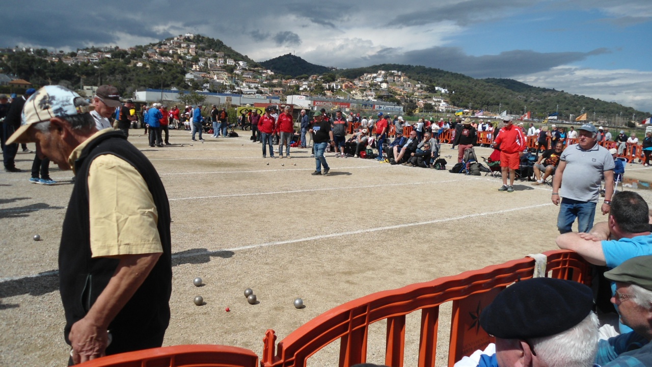 Participants (11) Participants (11)