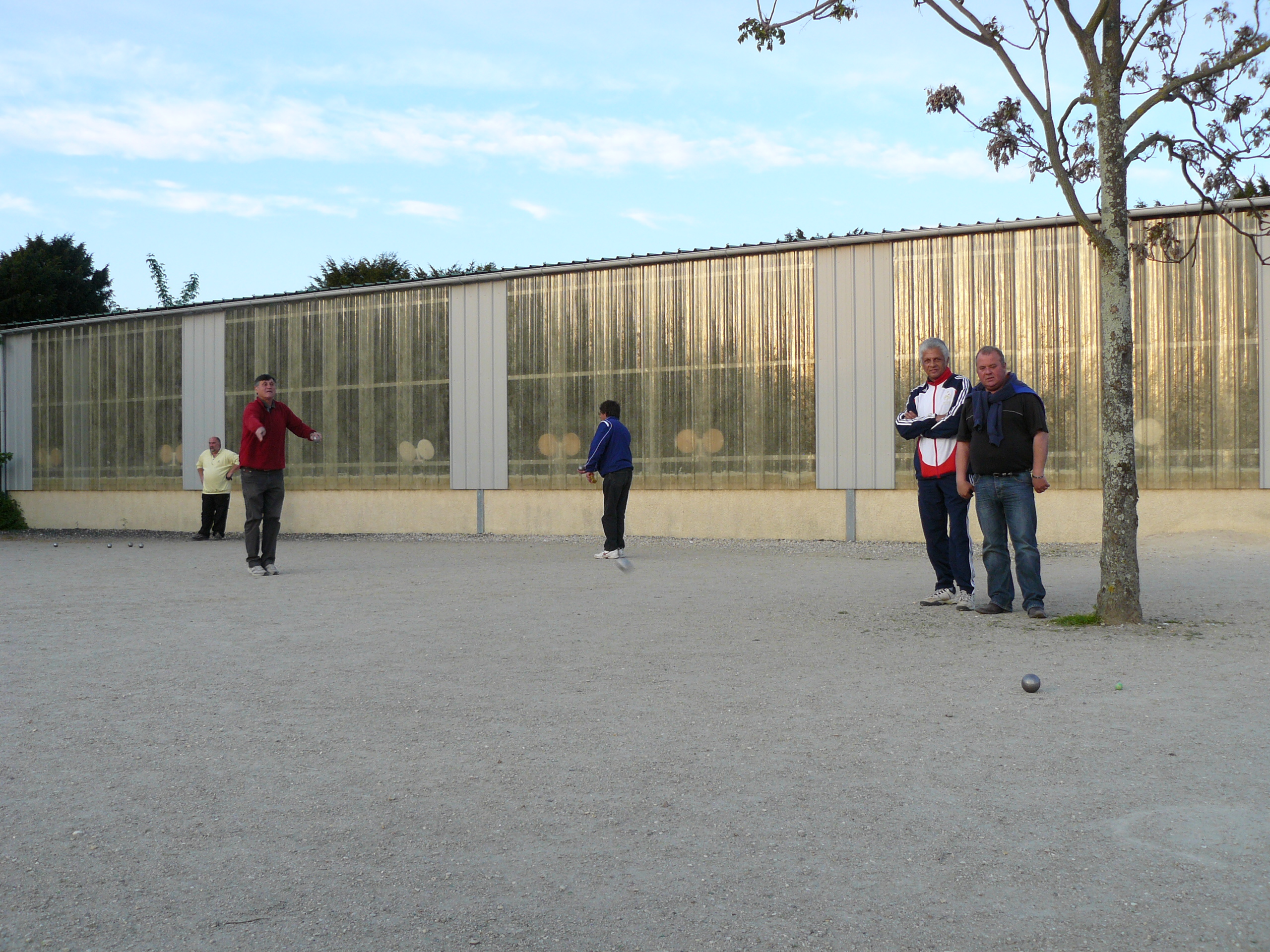 P1000218.JPG P1000218.JPG