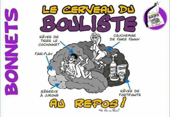 Un cerveau enfin décortiqué !!!!!!