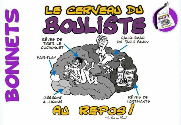 Un cerveau enfin décortiqué !!!!!!