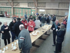 coque des rois coque des rois