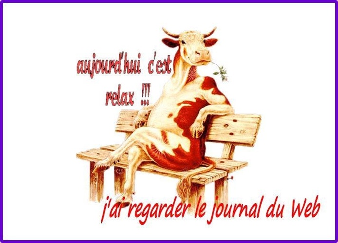 JOURNAL DU WEB