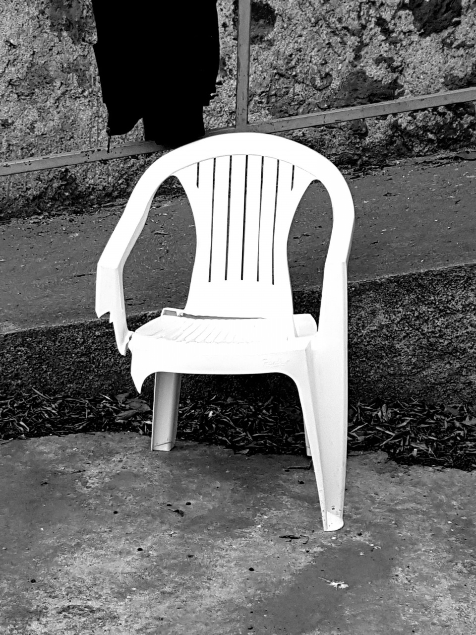 53399089_1819950998150540_5384375945220063232_n 53399089_1819950998150540_5384375945220063232_n