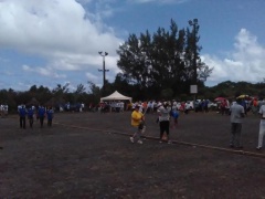 IMG_20160312_143113_800x600 IMG_20160312_143113_800x600