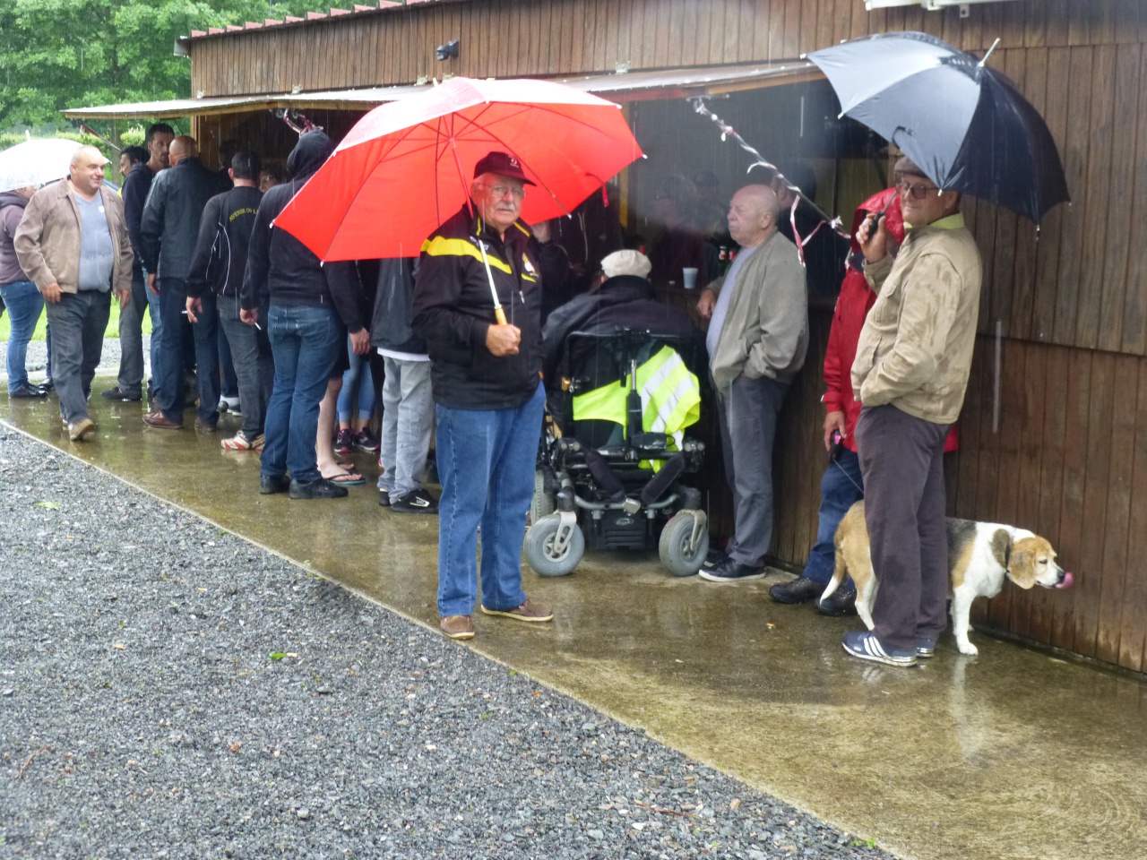 29 mai 2016 (25) 29 mai 2016 (25)