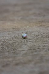 gal-1009779.jpg gal-1009779.jpg