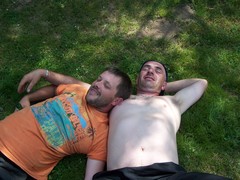 COMMENT ILS SONT BEAU LOL COMMENT ILS SONT BEAU LOL